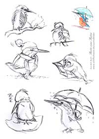 Gezeichnete Malvorlage Eisvögel Skizzen